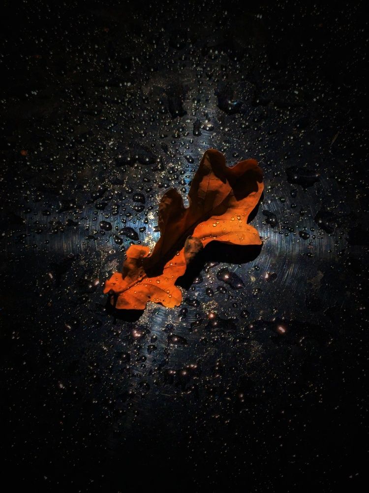 Photograph by Алексей Худяков