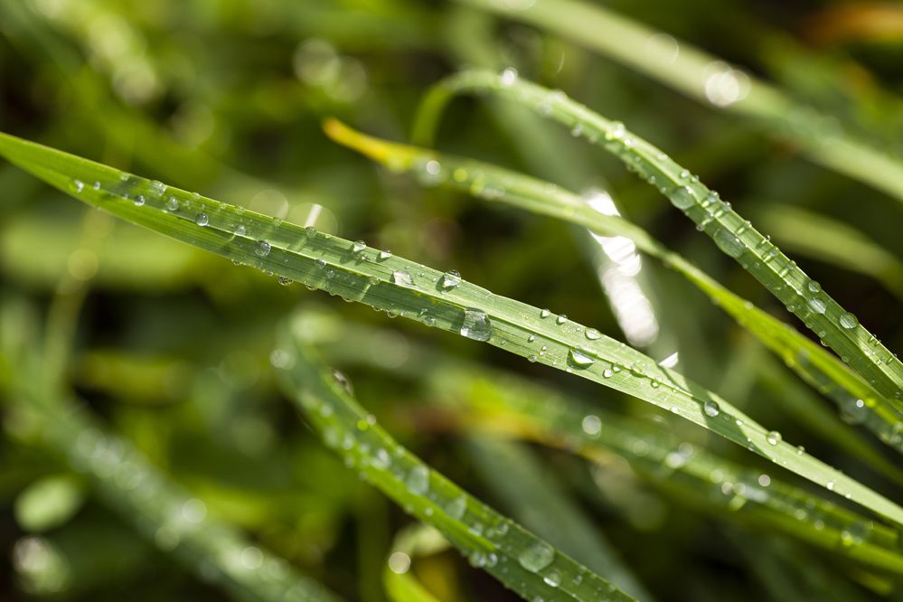 Photograph by Наталия Викторовна