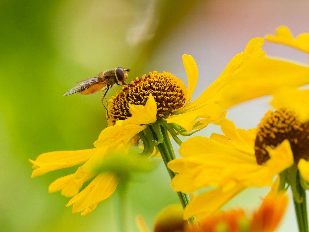 Photograph by Денис Горелов
