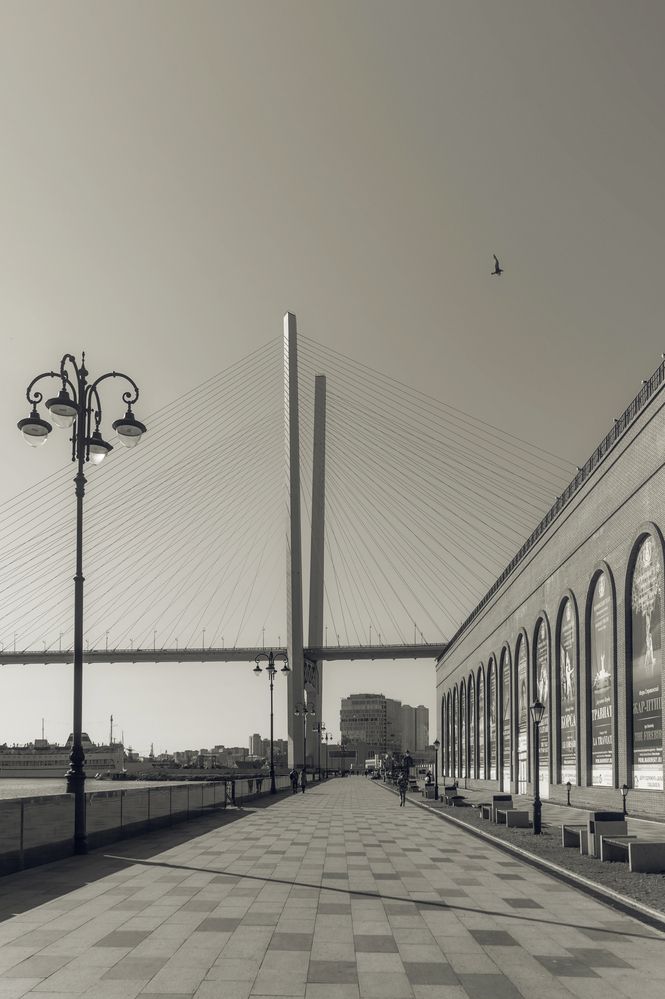 Photograph by Константин Яковлев