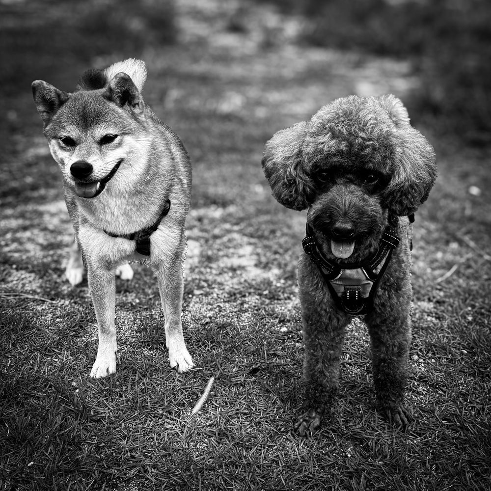 Фотография автора Mutsuaki