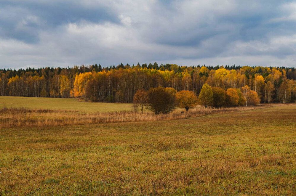 Photograph by Светлана Гаврикова