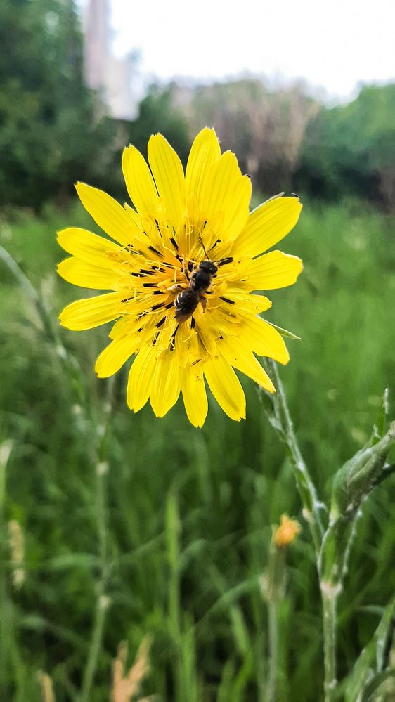 Photograph by Екатерина Абатурова