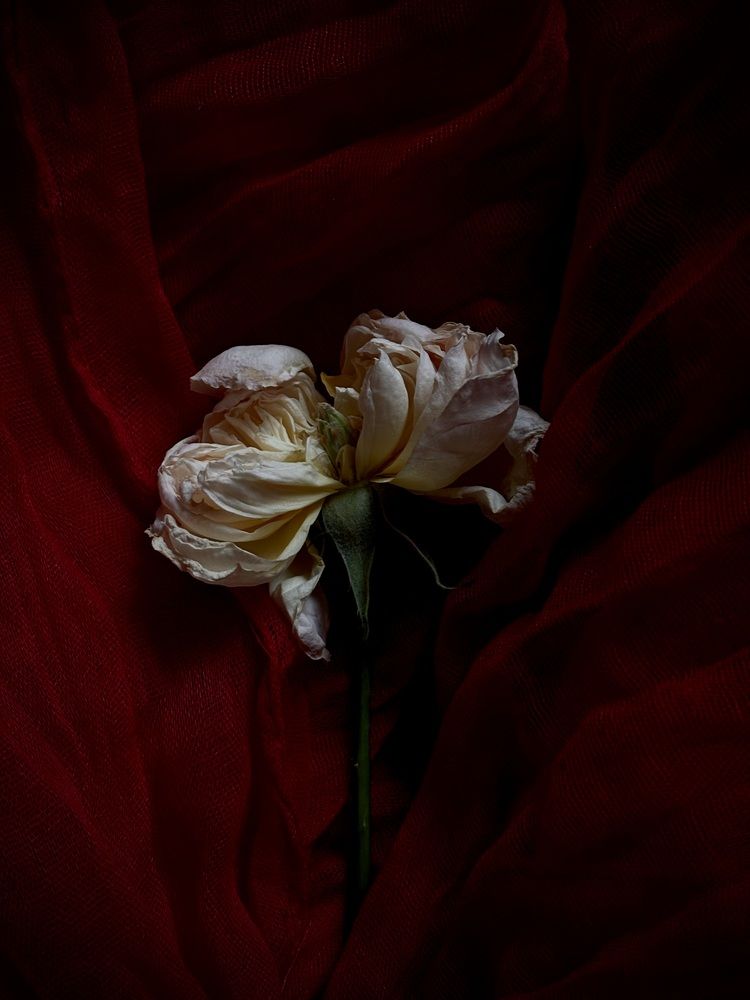 Photograph by Елена Громова