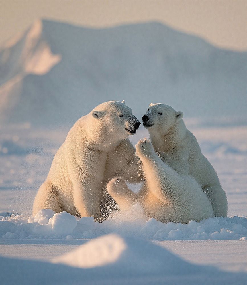 Photograph by SAMEERA MADUSHANTHA MUTHUKUDA ARACHCHIGE