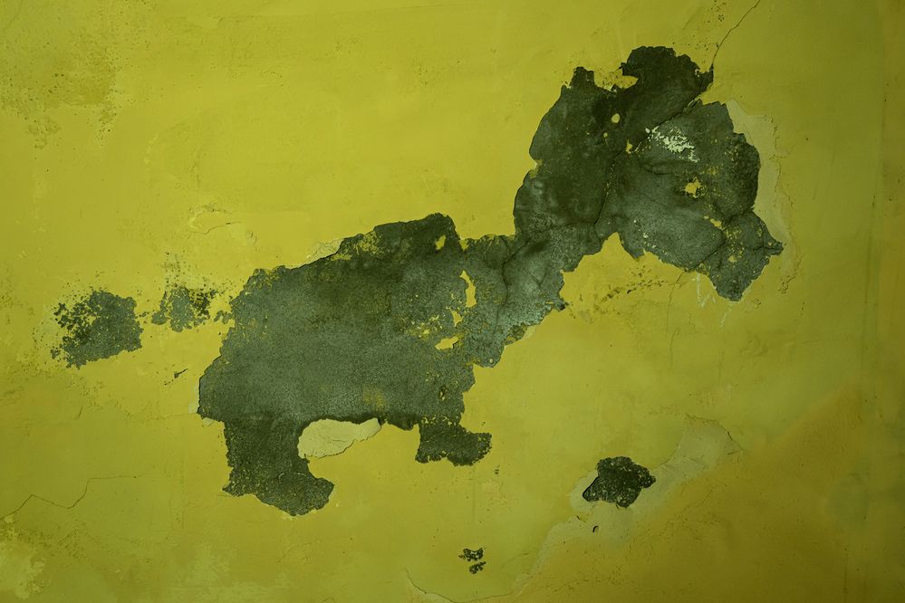 Photograph by Dimitri Bakhtadze