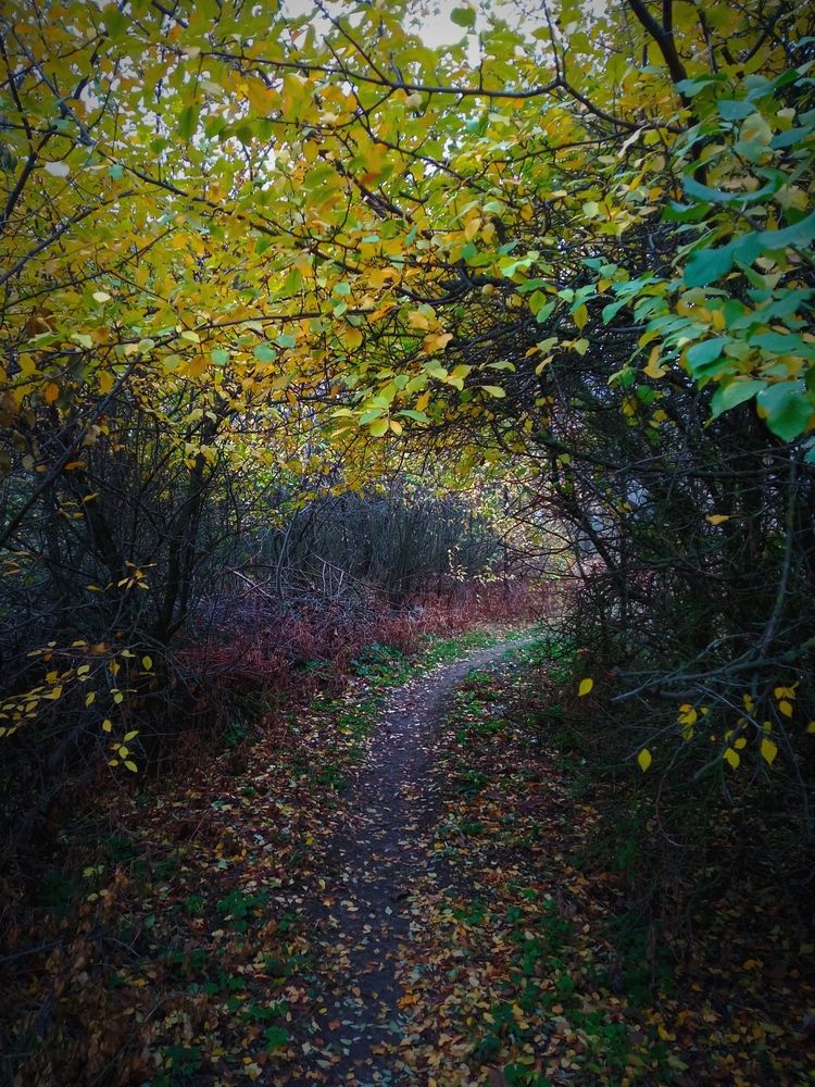 Photograph by Светлана Ищенко