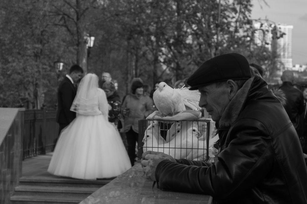 Фотография автора Иван Клочков