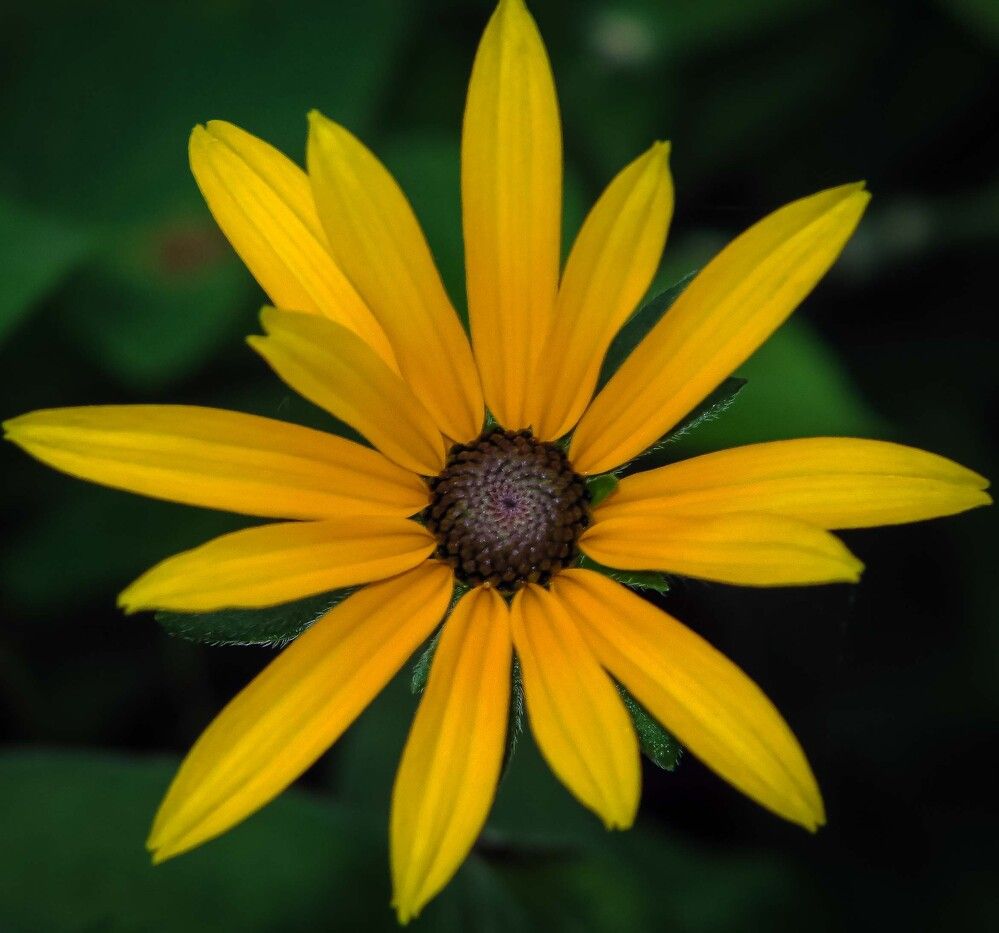 Photograph by Владислав Лопатов