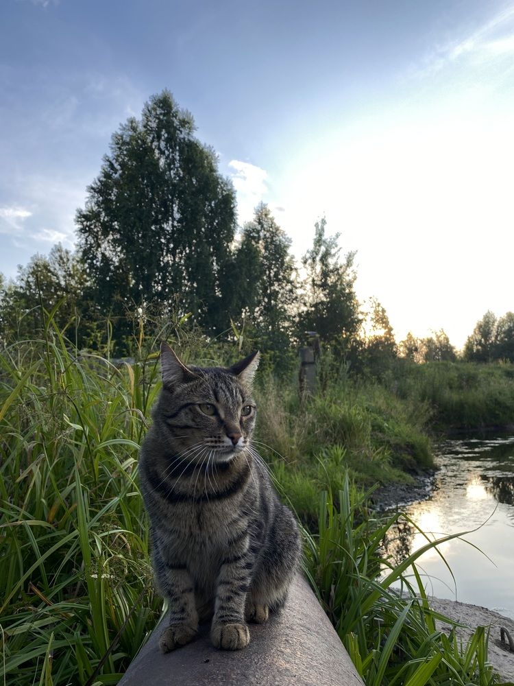 Photograph by Олеся Чистова