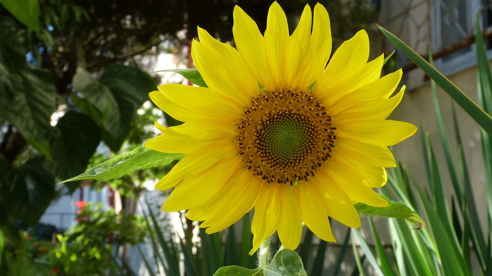 Photograph by Максим Владимирович