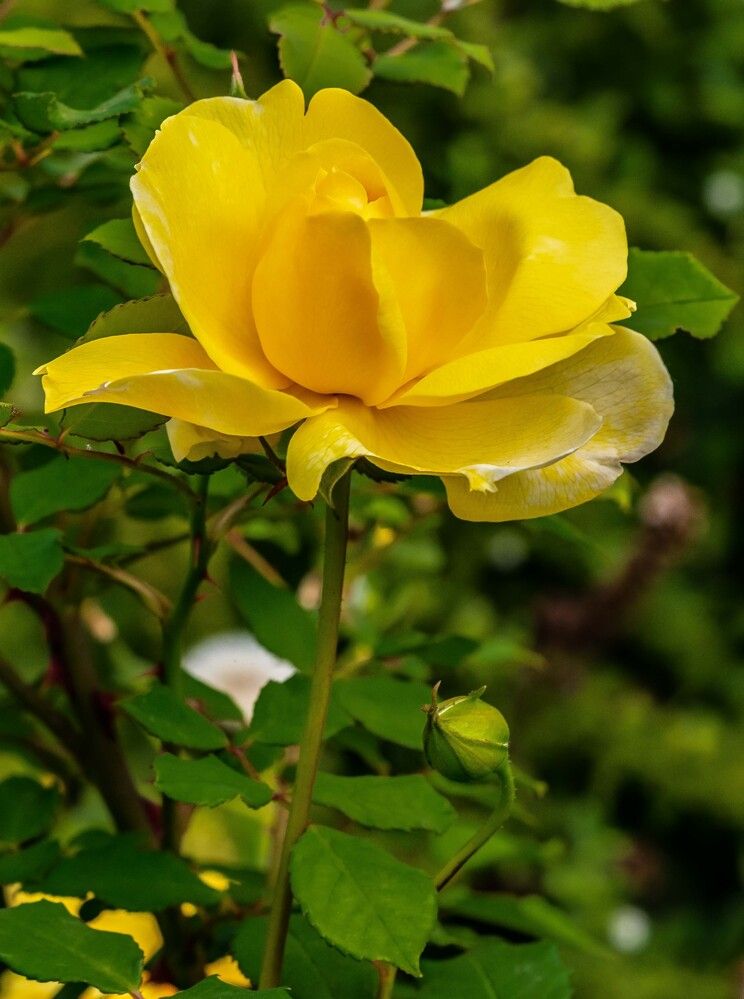 Photograph by Владислав Лопатов