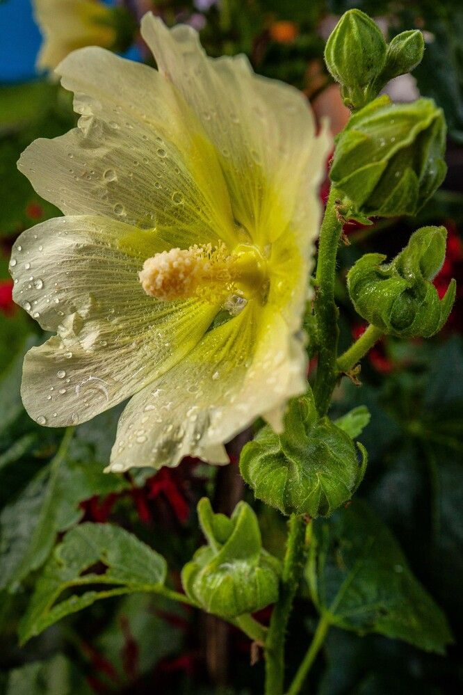 Photograph by Владислав Лопатов