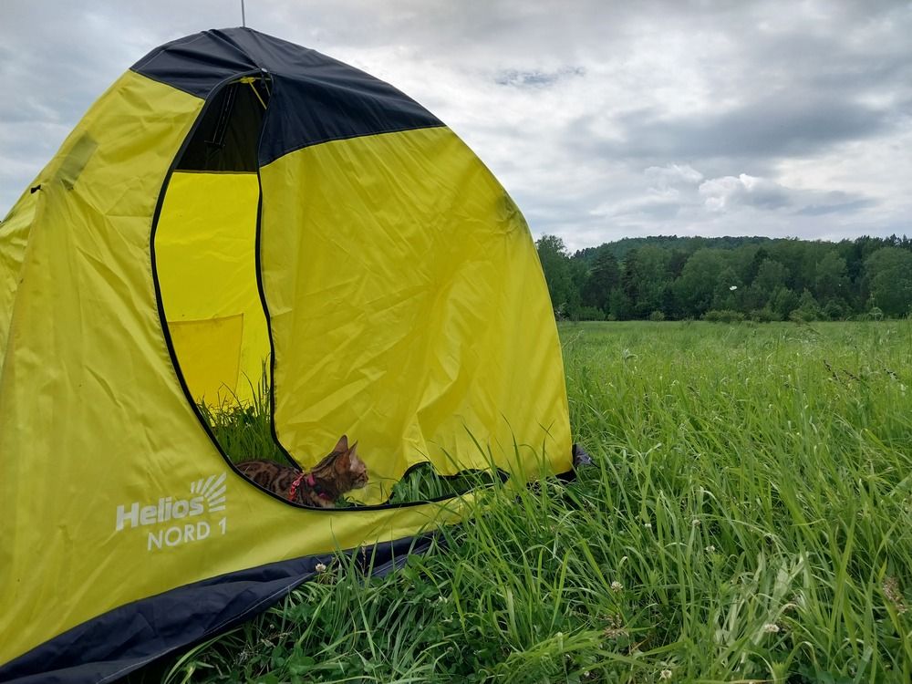 Photograph by Юлия Фирман