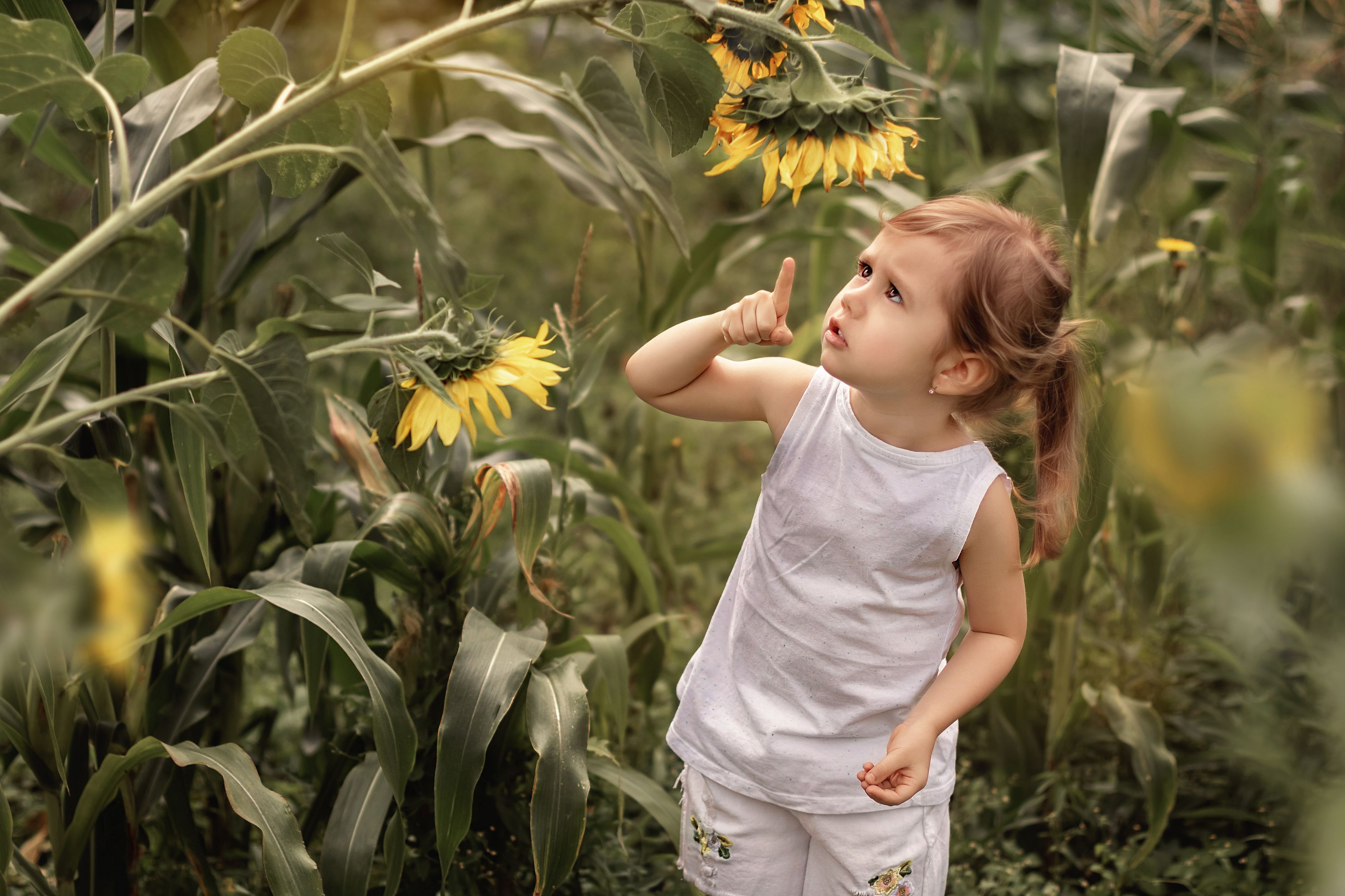 Photograph by Юлия Джура