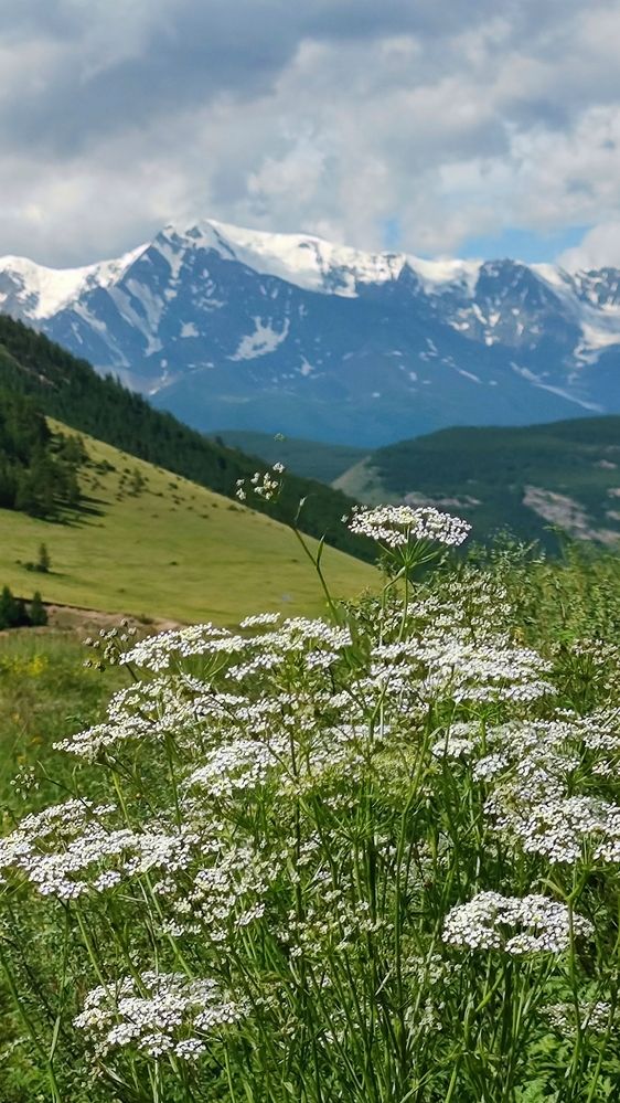 Где то там далеко....