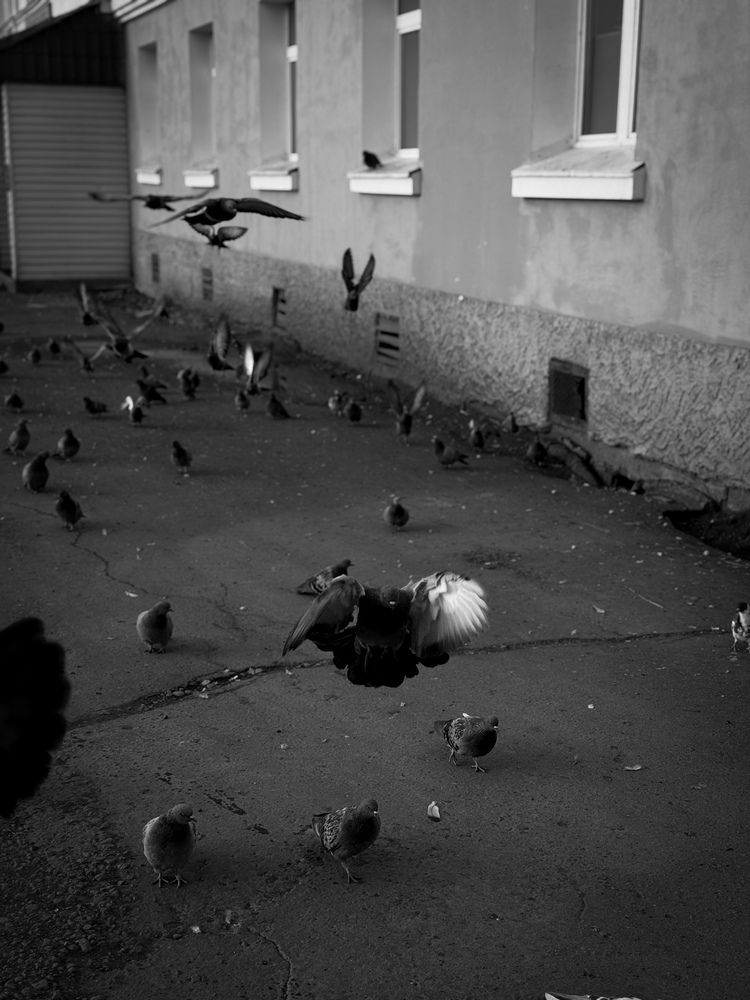 Photograph by Ярослава Васильева