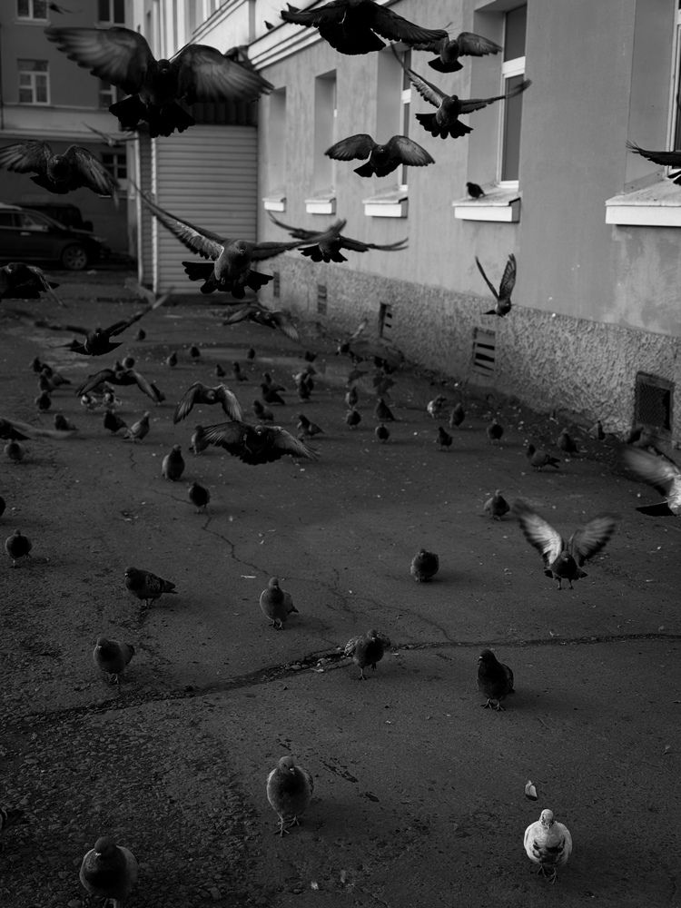 Photograph by Ярослава Васильева