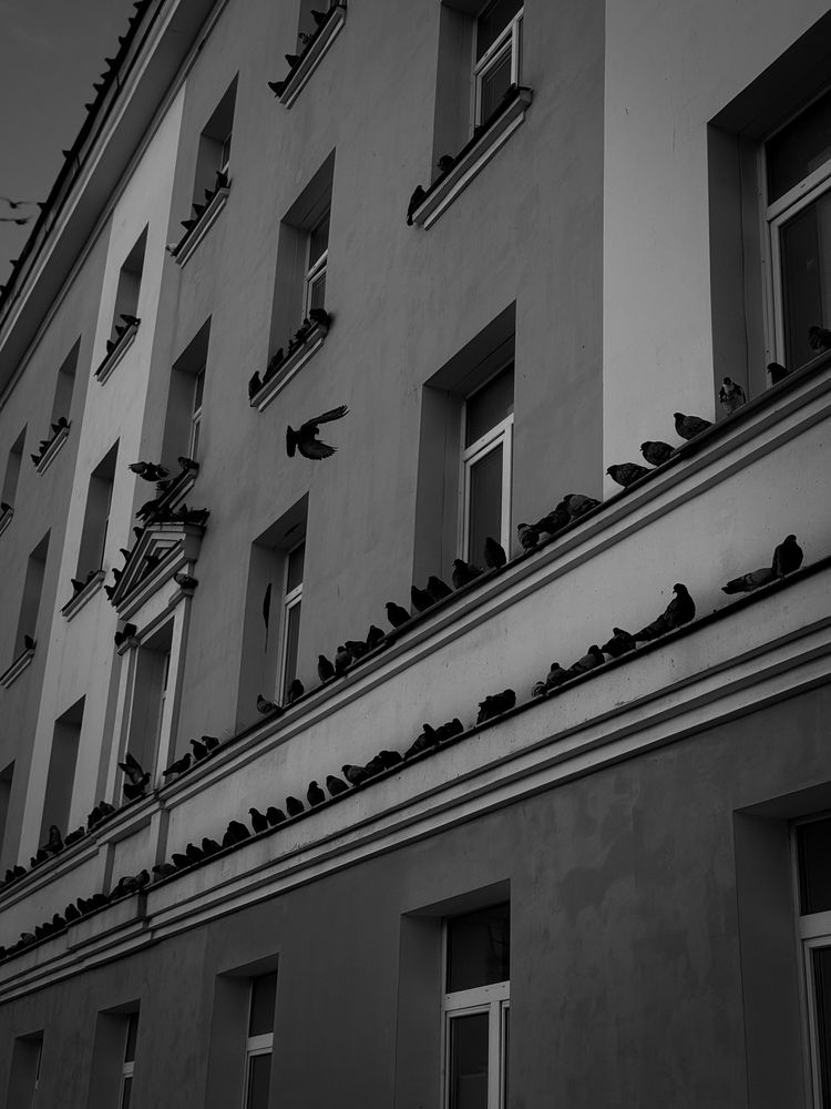 Photograph by Ярослава Васильева