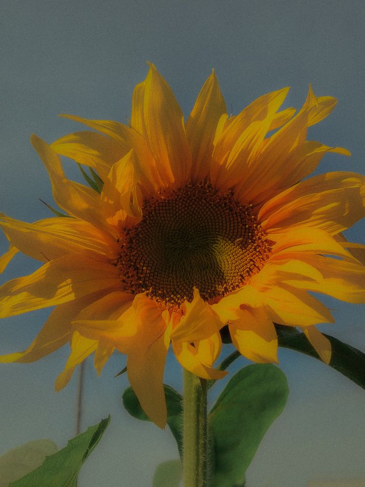 Photograph by Татьяна Букреева