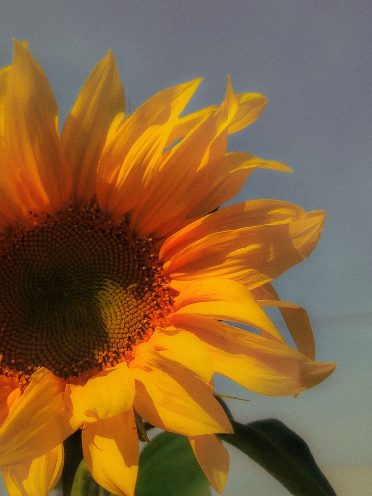 Photograph by Татьяна Букреева