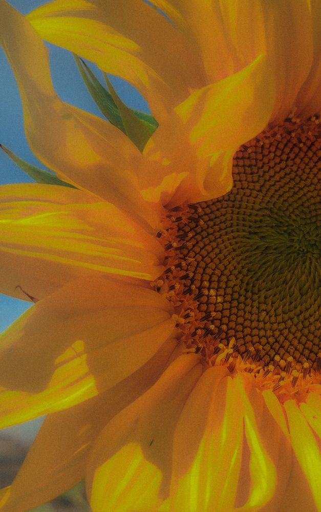 Photograph by Татьяна Букреева