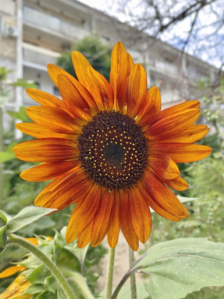 Photograph by Мирослава Сурженко