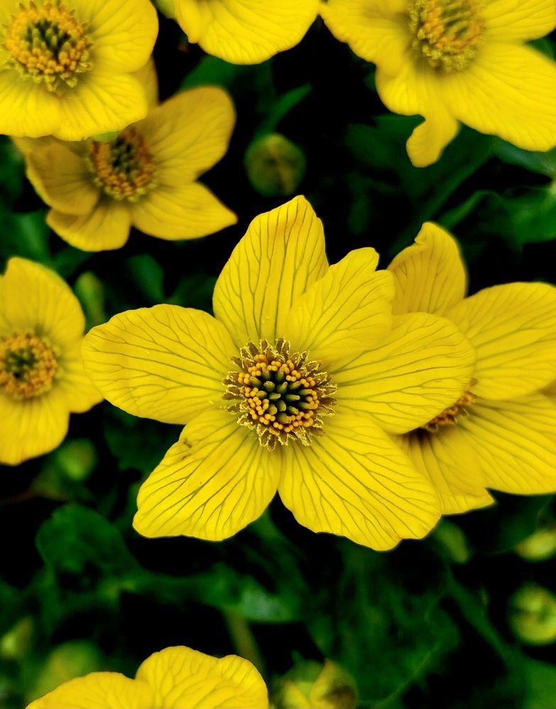 Photograph by Rahul Raman