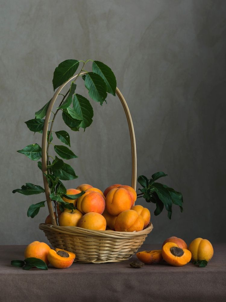 Photograph by Людмила Прибылова