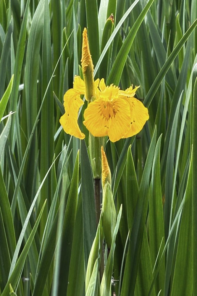 Photograph by Наталья Сафронова