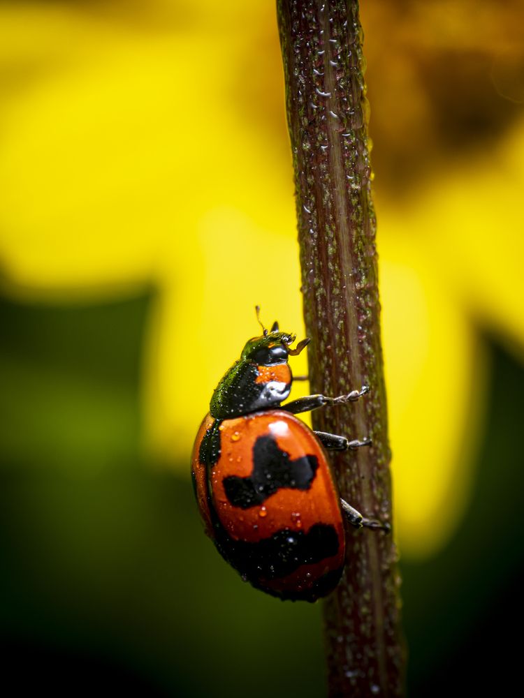 Photograph by Dhruv Chauhan