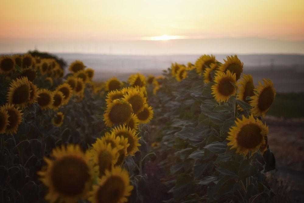 Photograph by fuat cimok