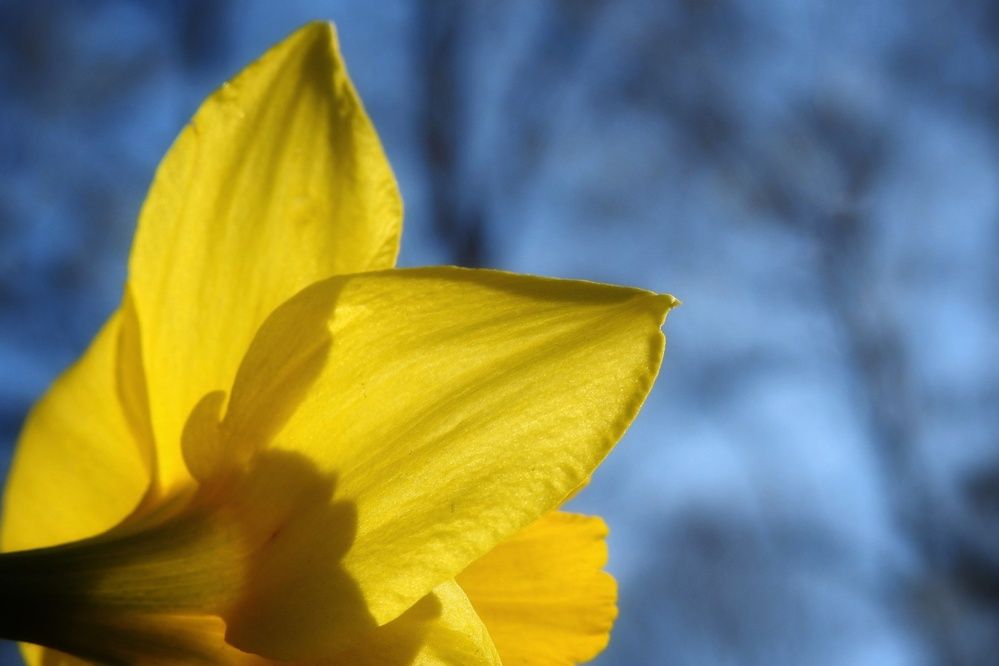 Photograph by fuat cimok