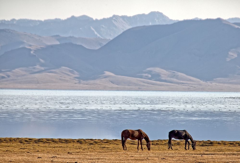 Photograph by Oleg
