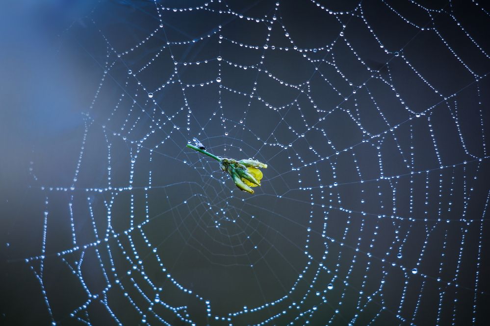 Photograph by Олеся Постнова