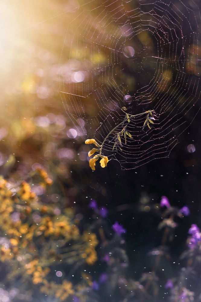 Photograph by Олеся Постнова