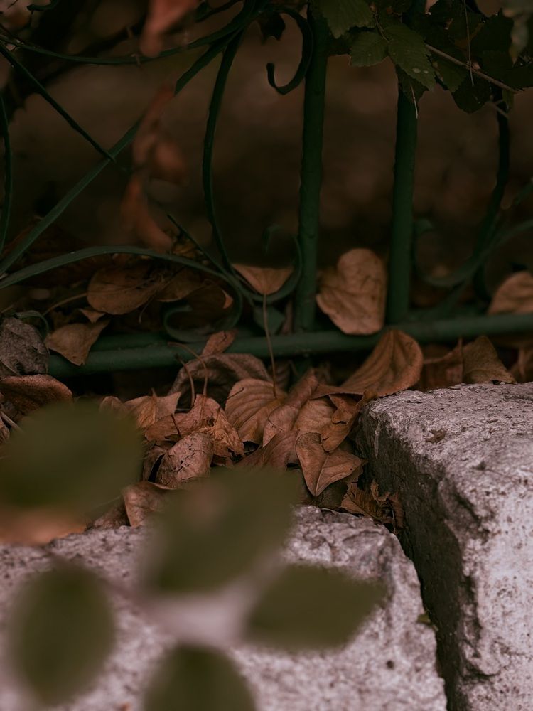 Фотография автора Кристина Байдала