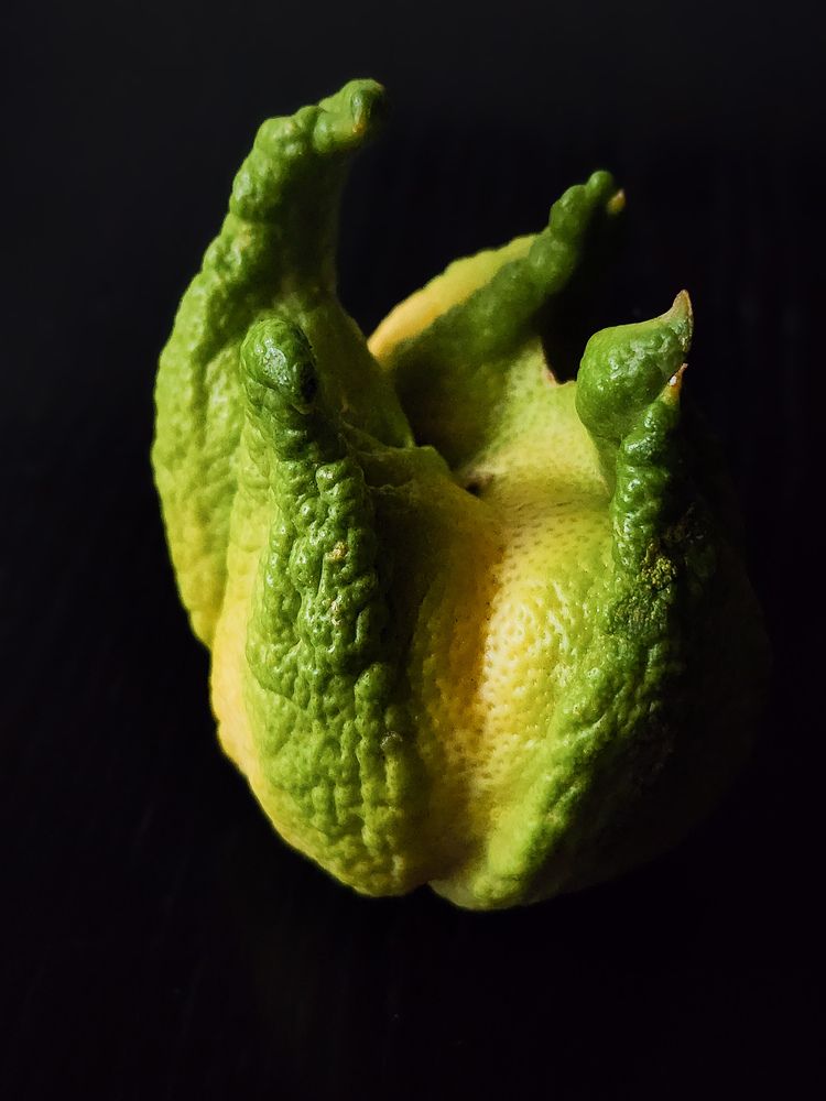 Фотография автора Galina Israilov