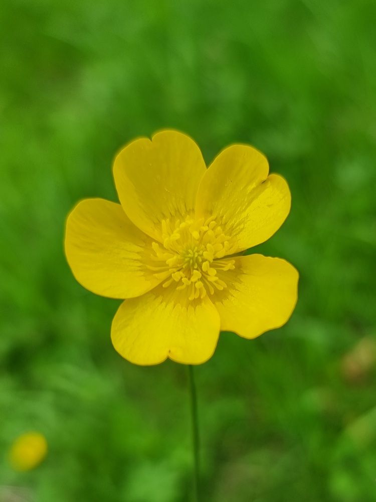 Photograph by Tajouj Hamadto