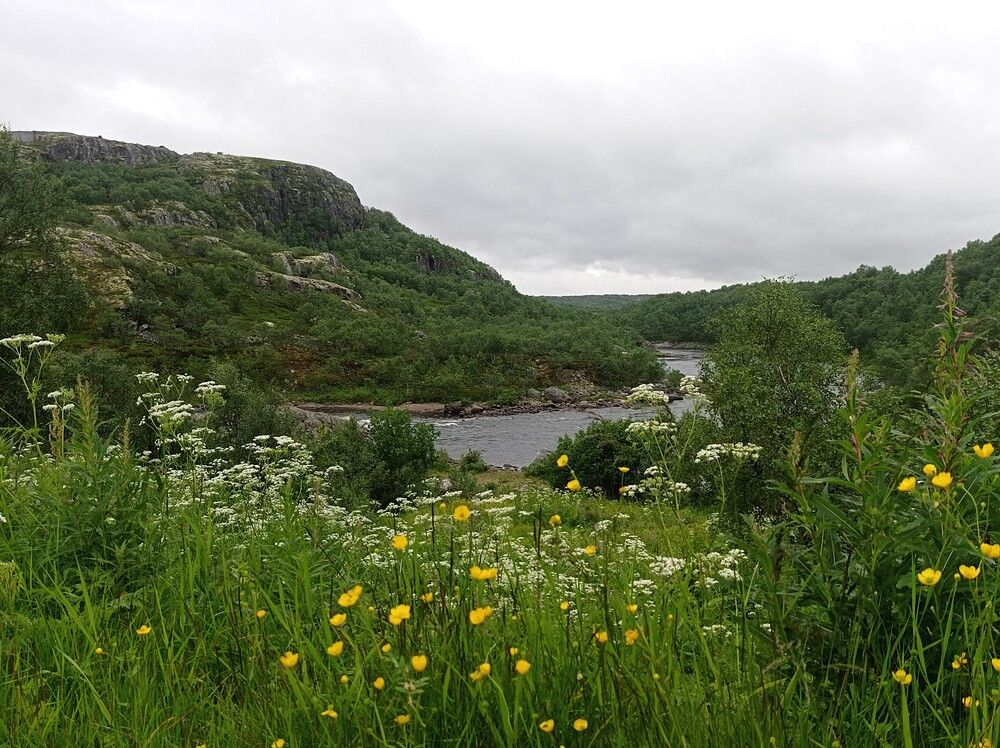 Photograph by Ирина Орлова