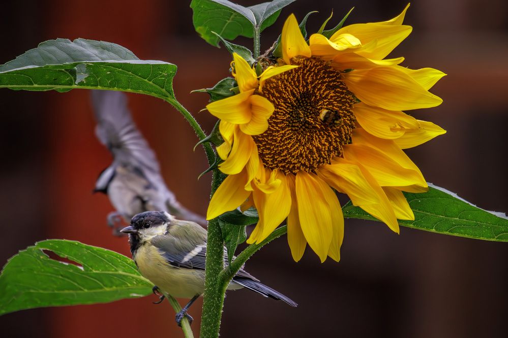 Photograph by Морозов Сергей