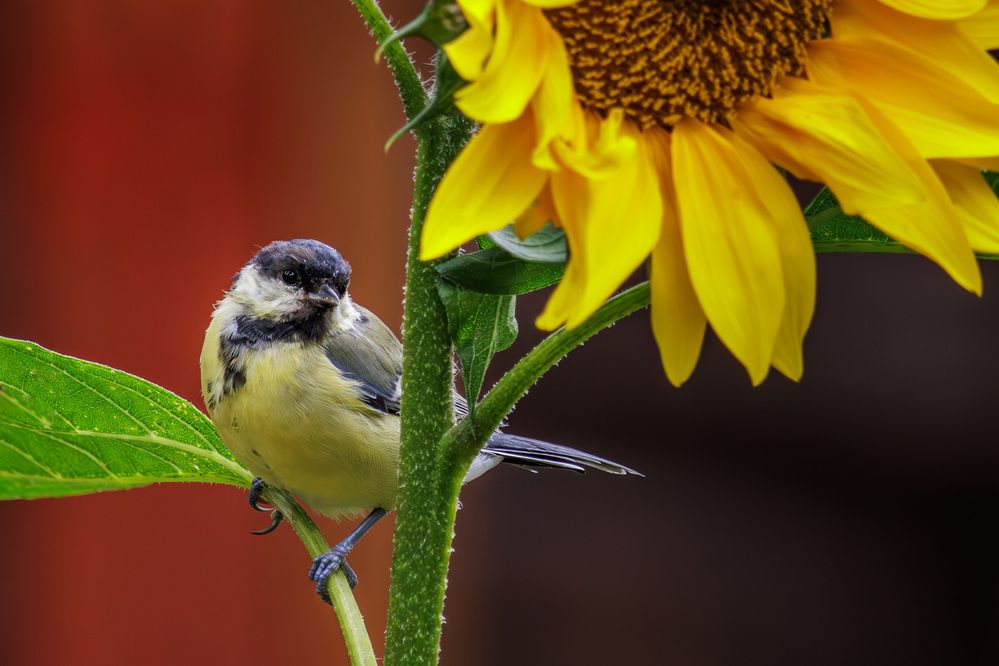 Photograph by Морозов Сергей