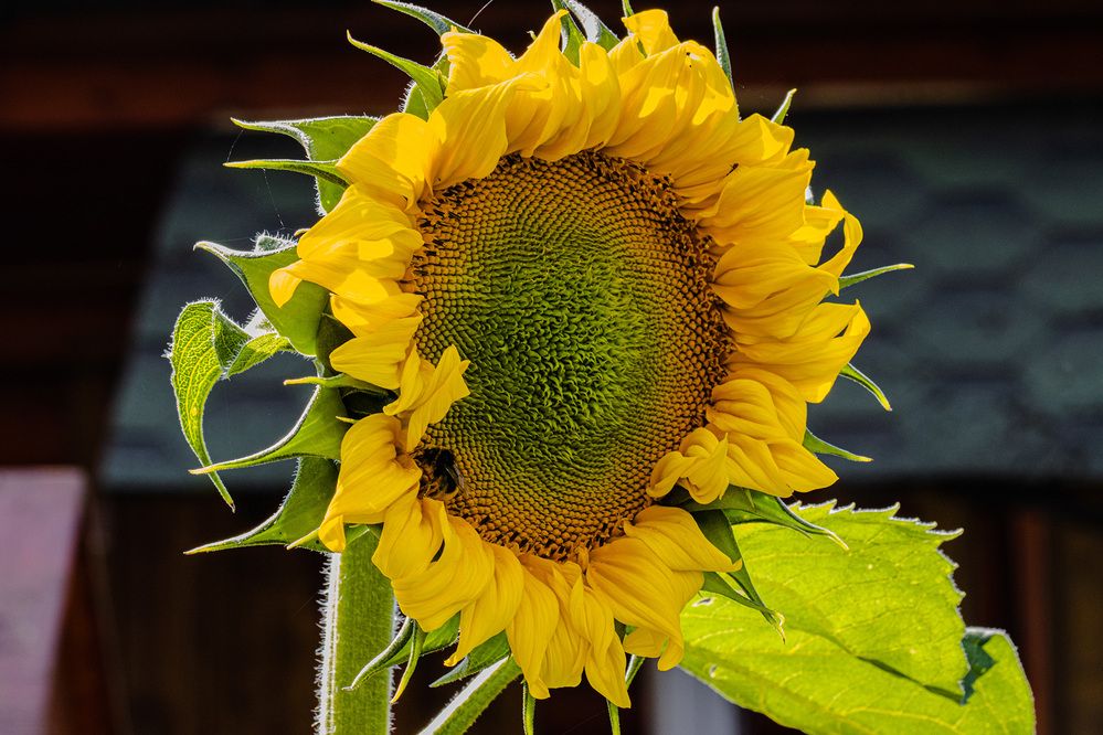 Photograph by Морозов Сергей