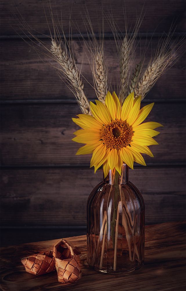 Photograph by Морозов Сергей