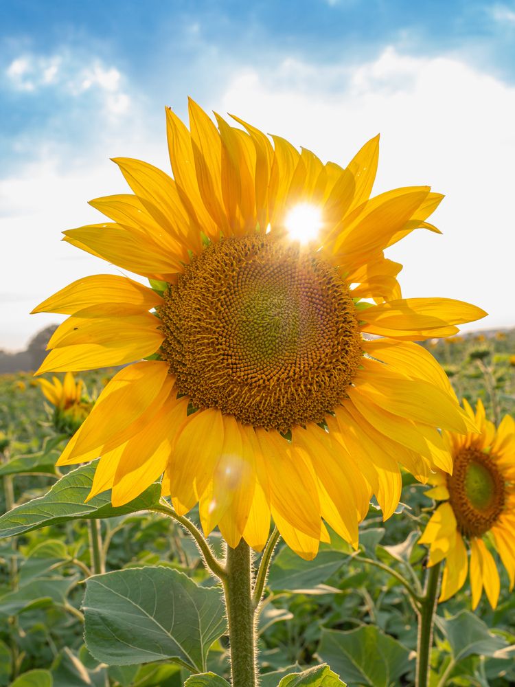 Photograph by Львов Алексей