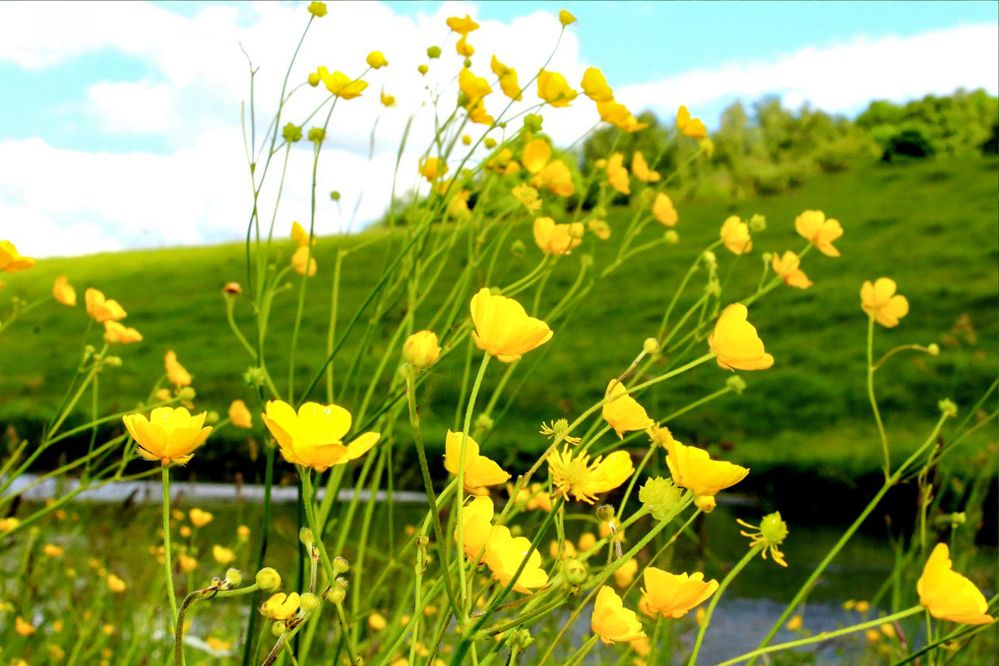 Photograph by Елена Фатьянова