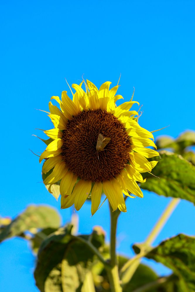 Photograph by Сергей Конюшенко