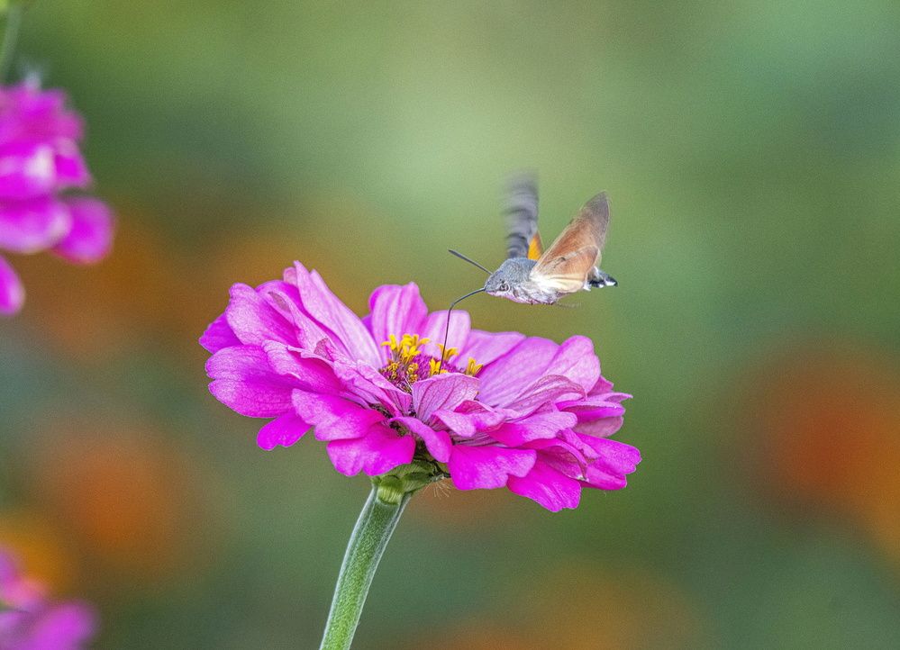 Photograph by Алексей Сиваков
