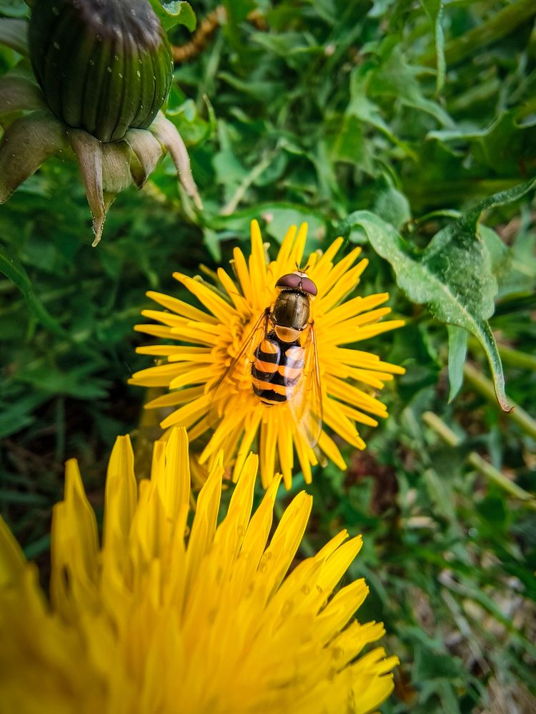 Фотография автора Александр Хухлов