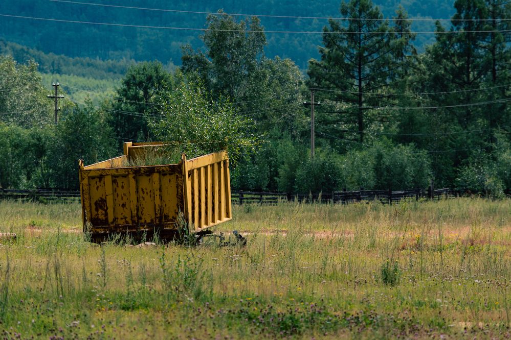 Photograph by Данил Баглаев